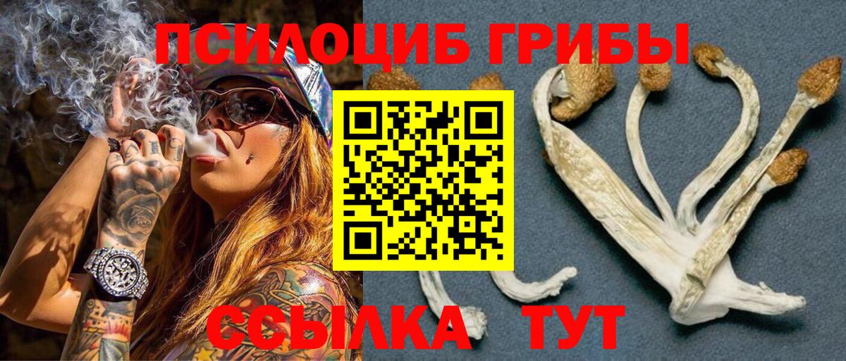 Галлюциногенные грибы Magic Shrooms Муравленко