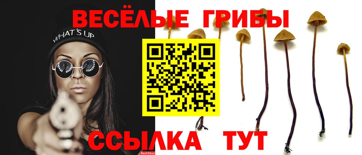 Галлюциногенные грибы прущие грибы  цены   Галлюциногенные грибы мухоморы  Муравленко  Вход с VPN 